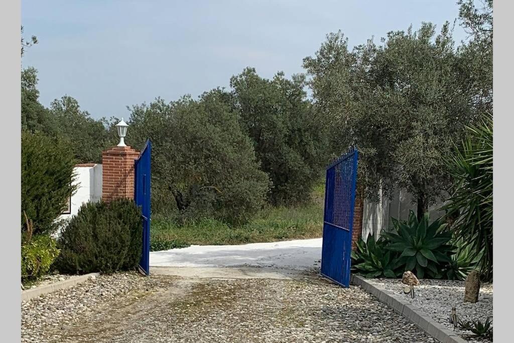 Finca Casa Mici Villa Alhaurín el Grande Exterior foto